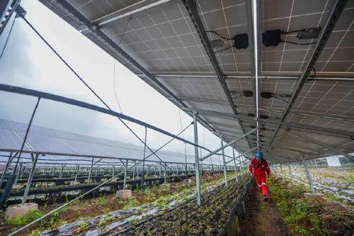中國(guó)十三省最大光伏電站在這里！欽州康熙嶺的光伏電站能排上號(hào)了嗎？